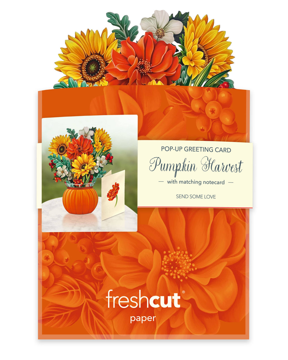 Mini Pumpkin Harvest (10 Pop-up Greeting Cards)