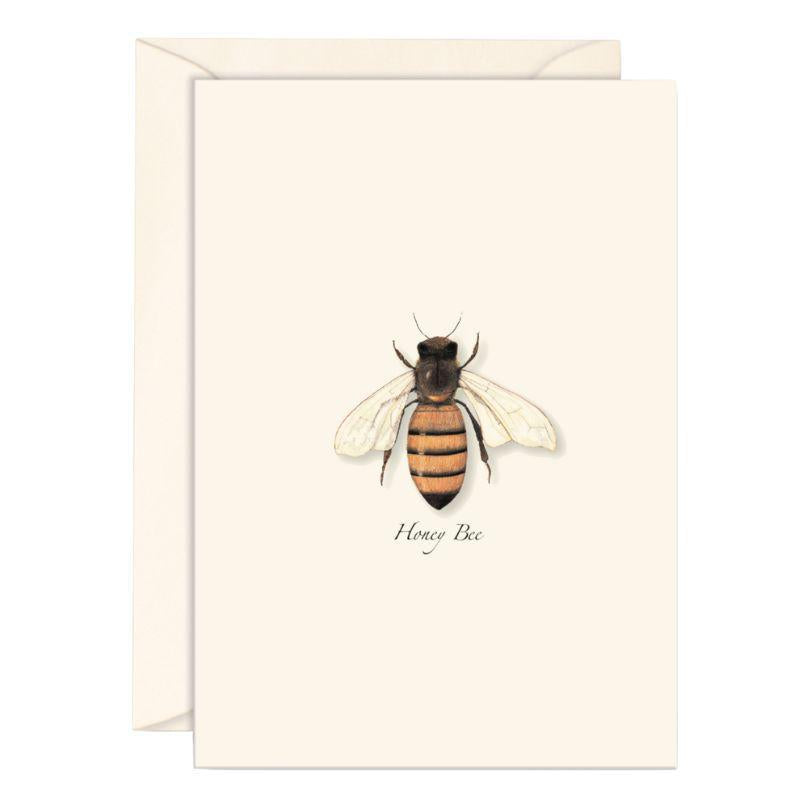 E.S.+W. Boxed Notes - Honey Bee