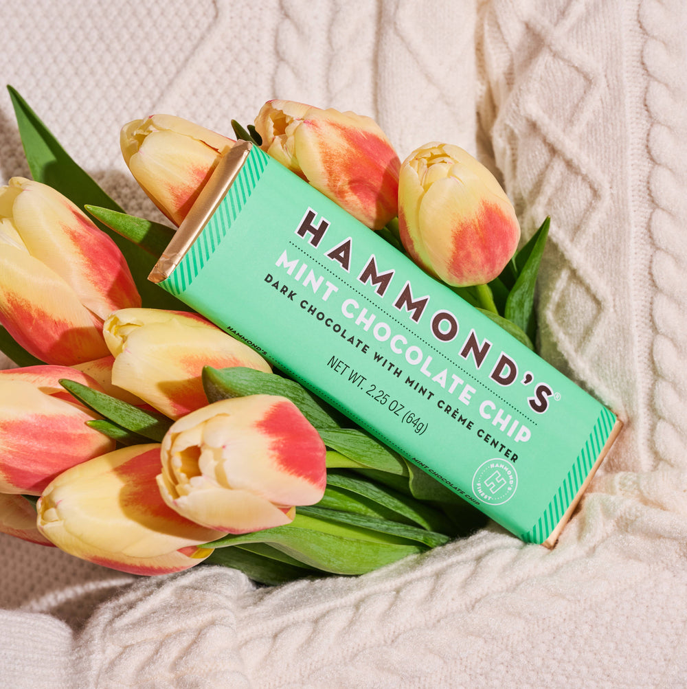 Candy Bar - Dark Chocolate - Mint Chocolate Chip - 2.25 oz