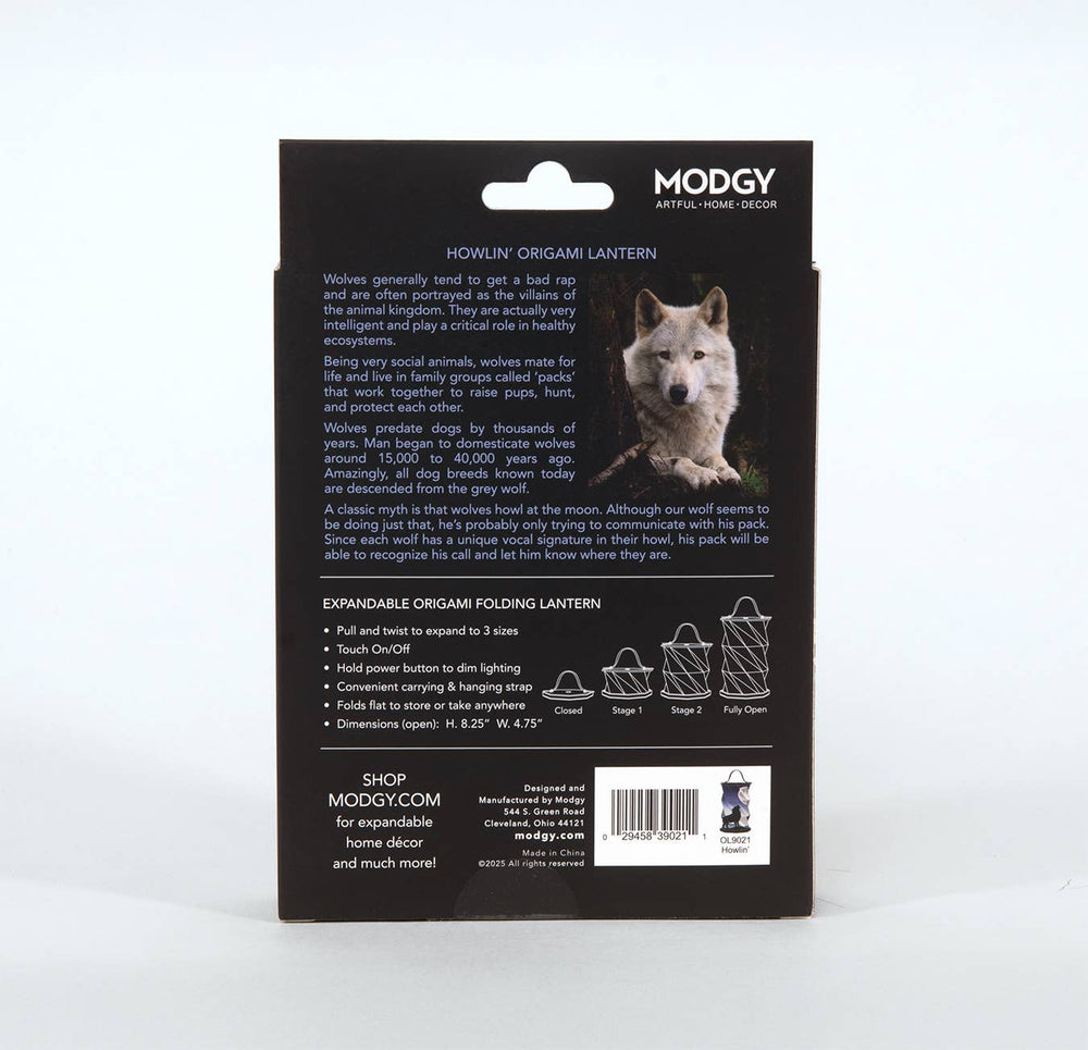 Howlin' Origami Lantern