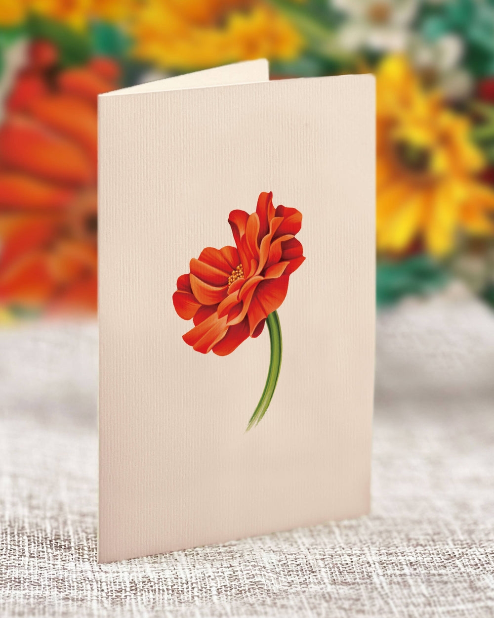 Mini Pumpkin Harvest (10 Pop-up Greeting Cards)