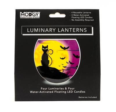 Luminary Lantern - Salem - Halloween Black Cat