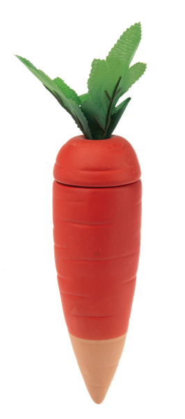 plant waterer  carrot shaped