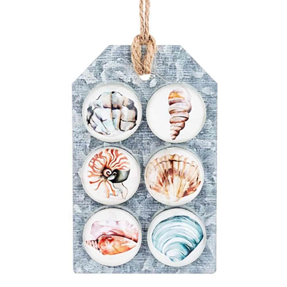 Shell Magnet Set, 6pc, Glass - Port Gamble General Store & Cafe