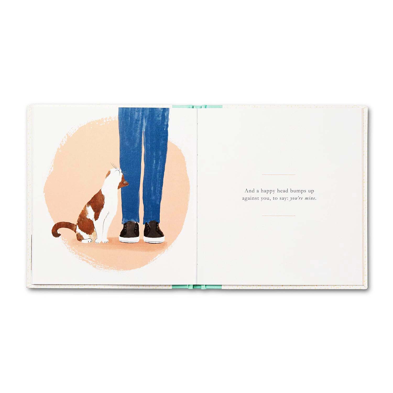 middle pages of the book "When You Love a Cat" showing the illustration of a cat and a person.