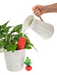 Person watering a plant with a red plant water indicator, set against a white background