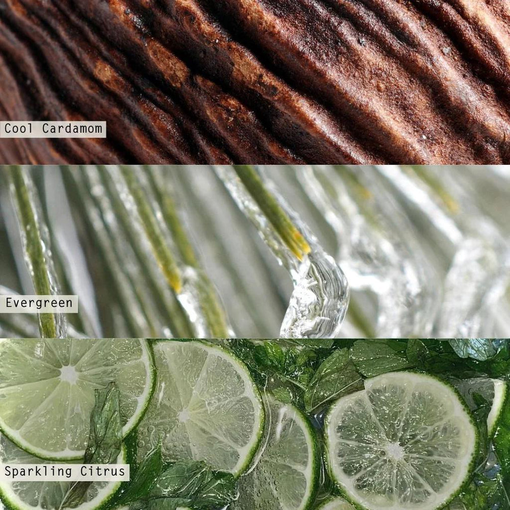 Winter White Mini Diffuser - Port Gamble General Store & Cafe