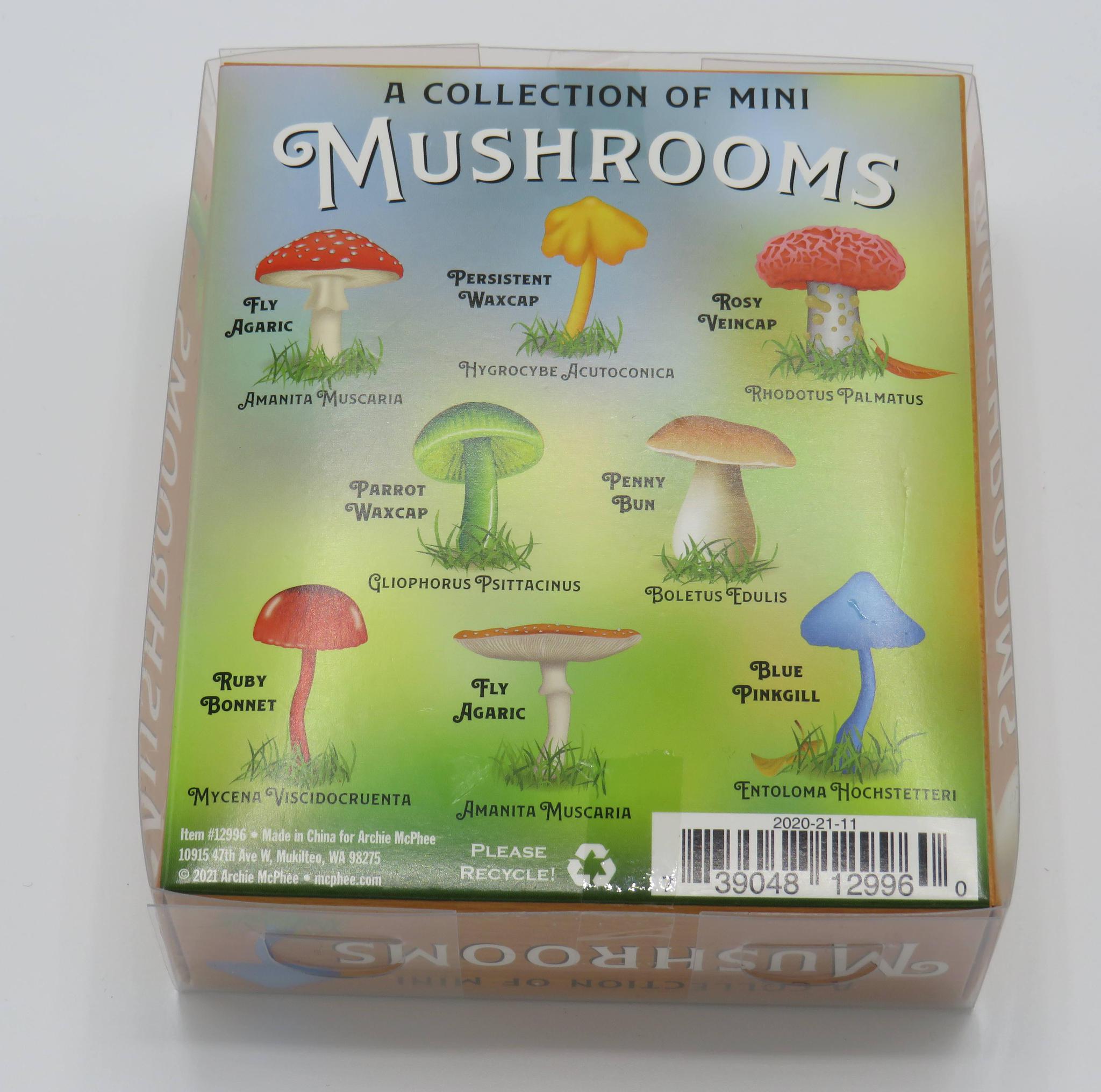 mini mushrooms collection box