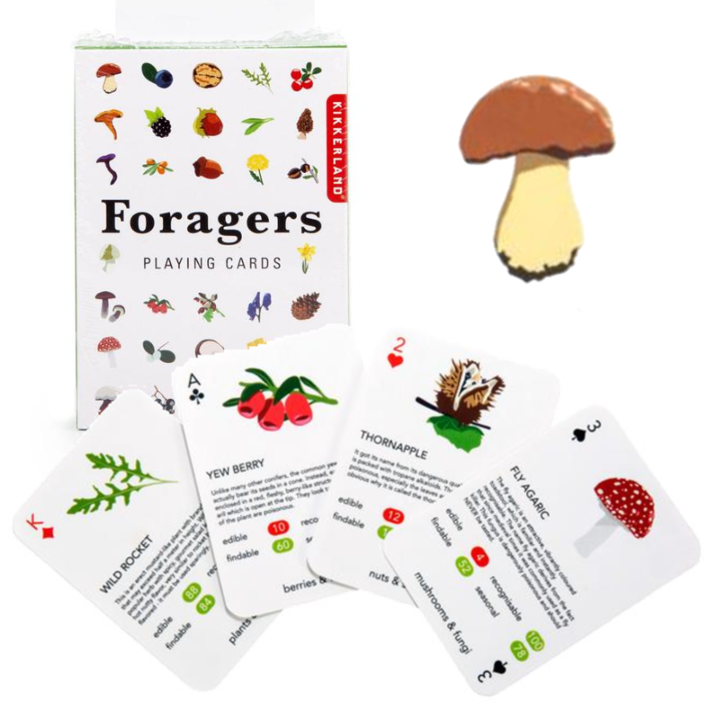 pack of Foragers Playing cards, with botanical illustrations and facts