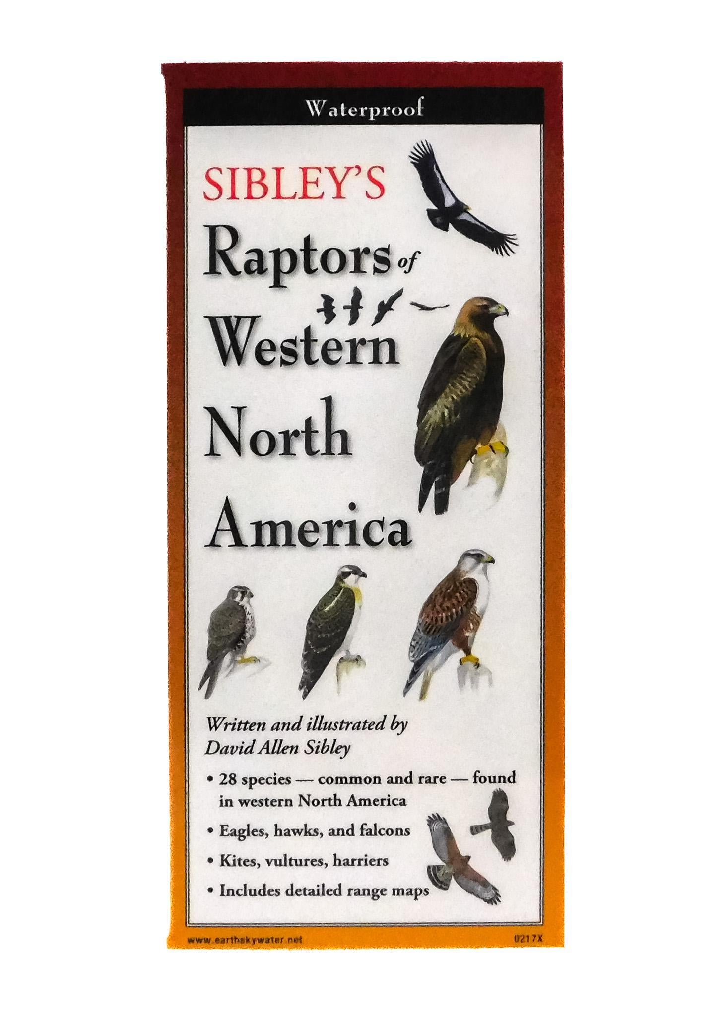 Raptors of North America Guide