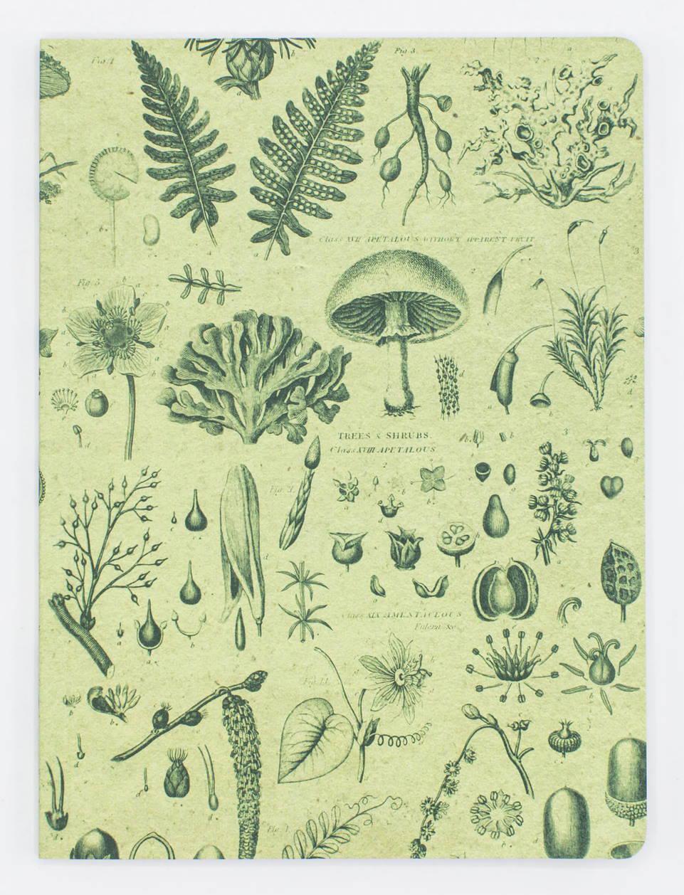 Blank Journal with Plants and Fungi Motif
