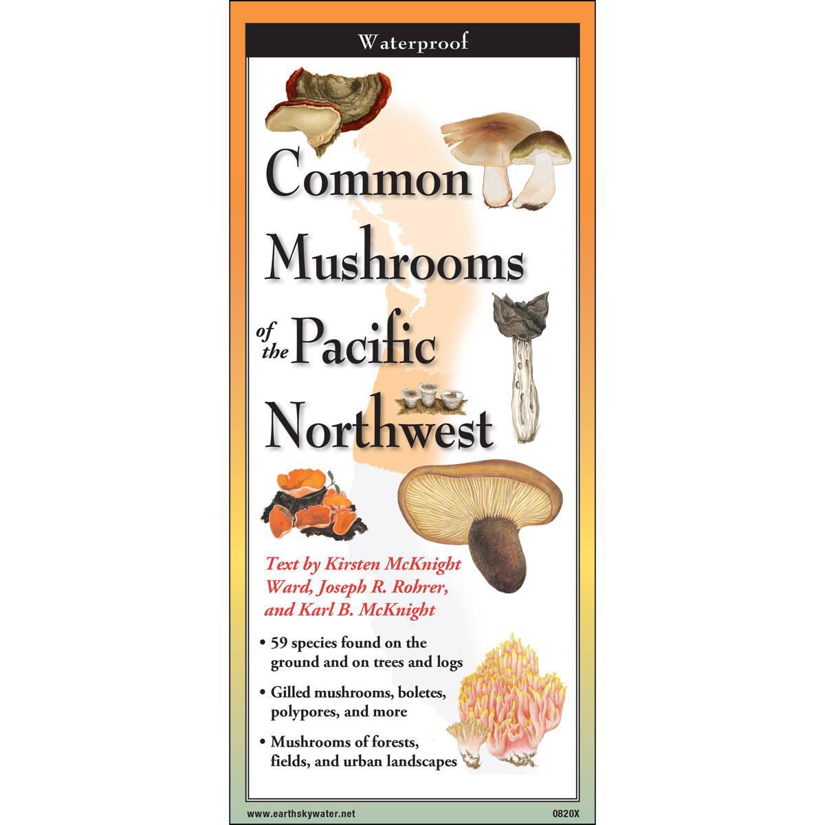 common mushrooms of the pacific northwest  guide