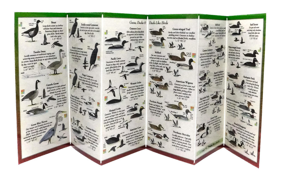 Sibley's Birds of the PNW Coast Guide - Port Gamble General Store & Cafe